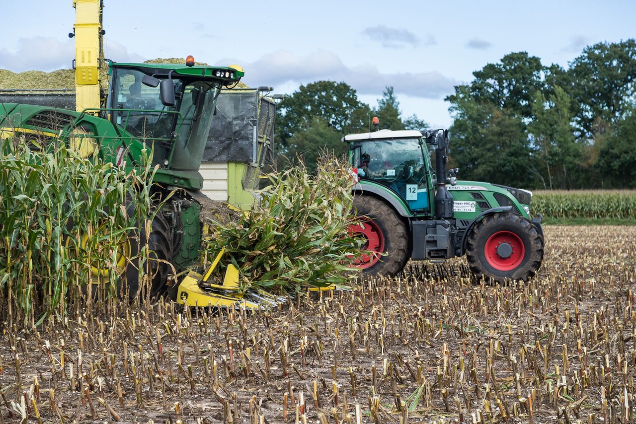 Bild 160 - Maisernte